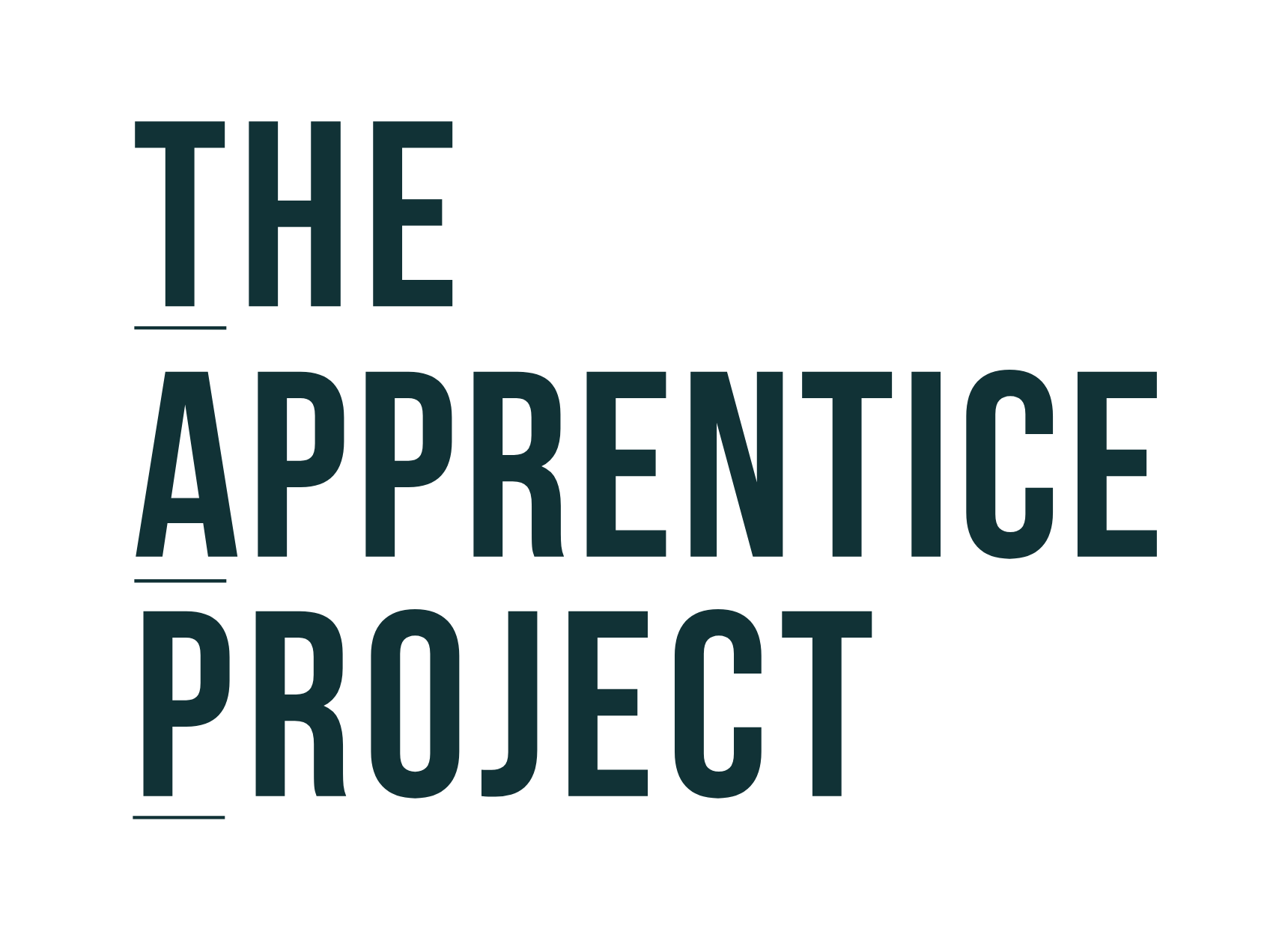 The Apprentice Project